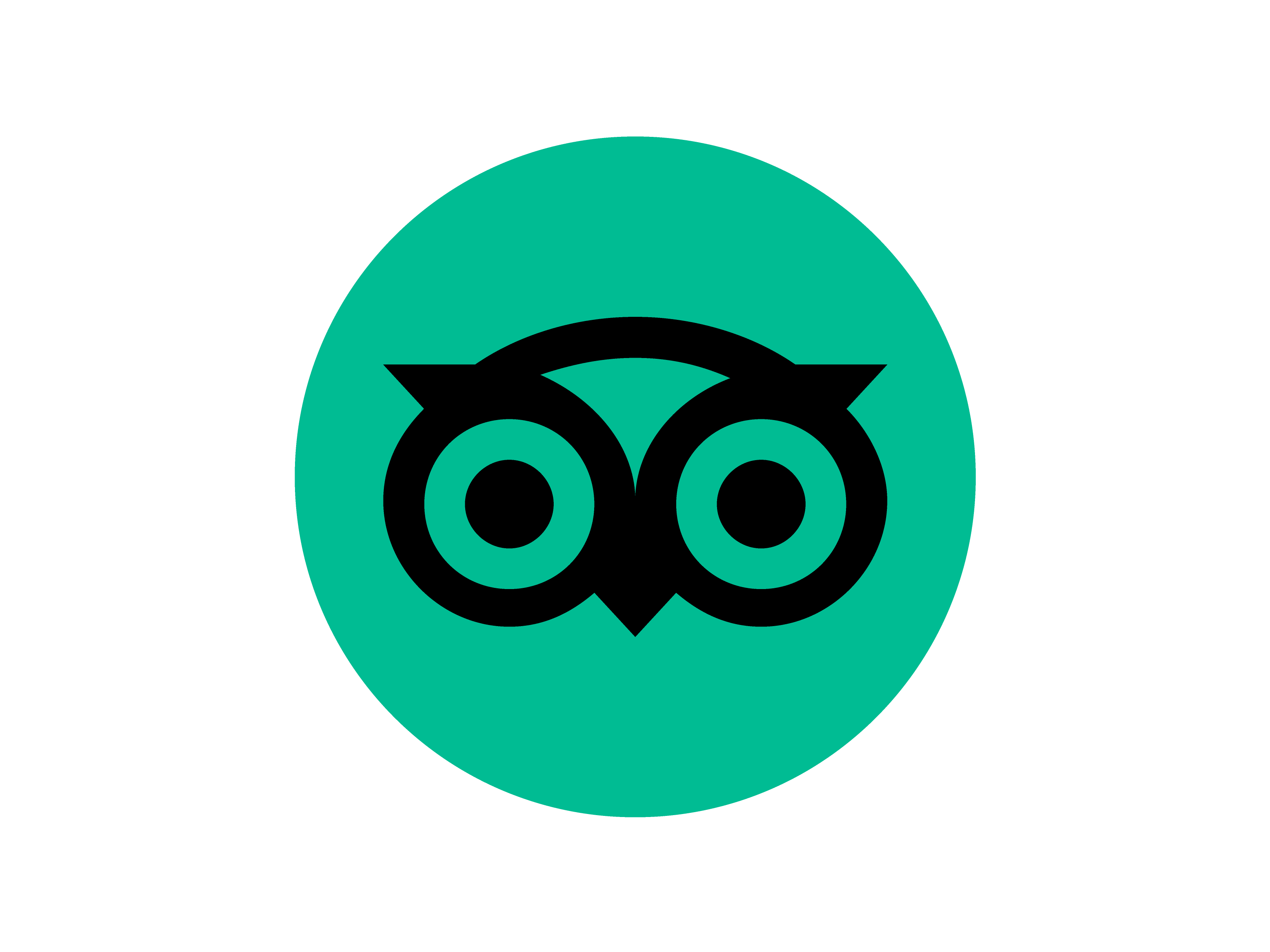 Tripadvisor Logo